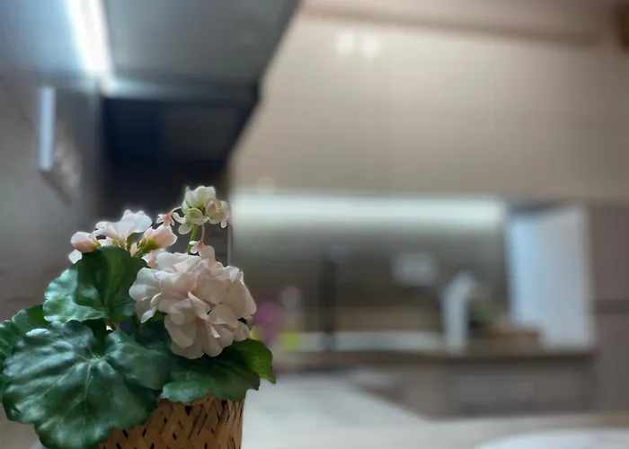 T Place 1 Apartment *